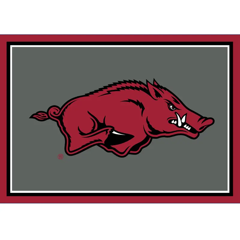Arkansas Razorbacks 3X4 College Area Rug 1