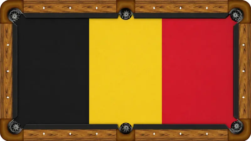 Belgian-Crafted Custom Pool Table Felt: Tailored Prints For Standard Table Sizes 1
