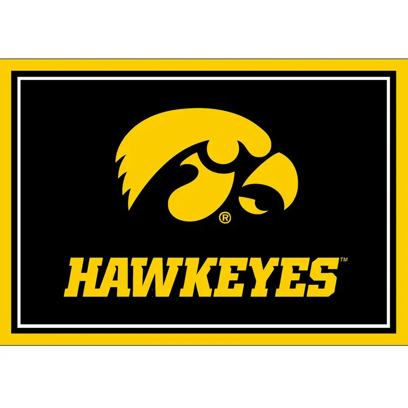 Iowa Hawkeyes 3X4 College Area Rug 1