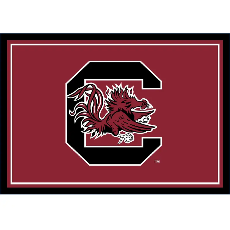 South Carolina Gamecocks 3X4 College Area Rug 1