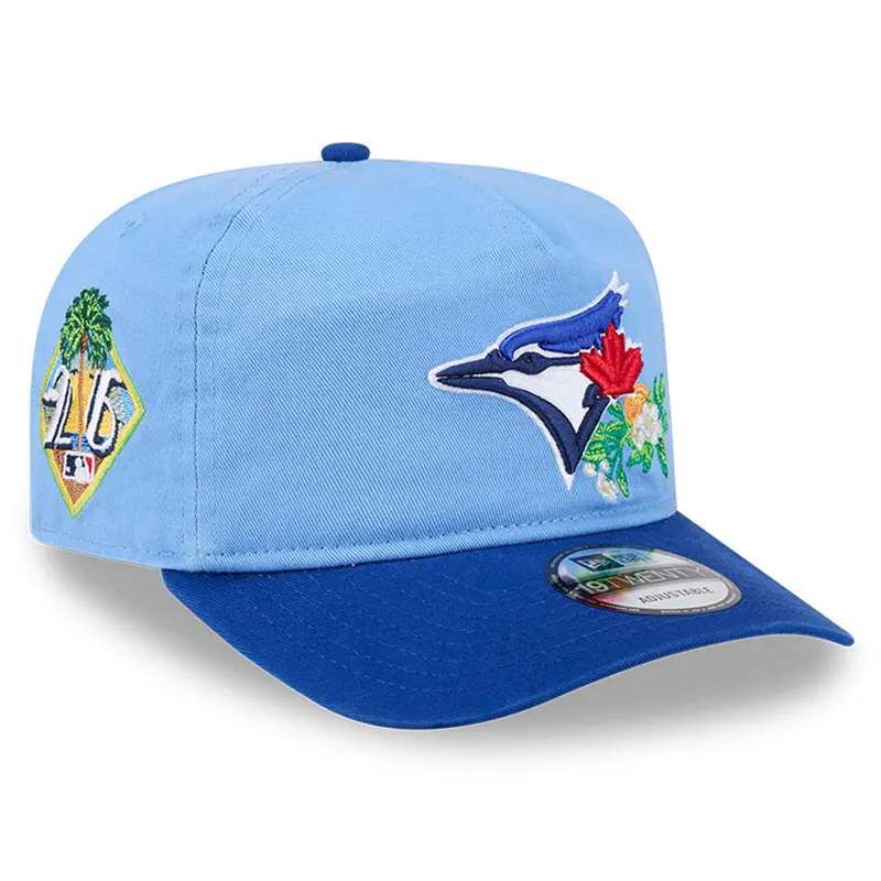 Youth Toronto Blue Jays 2026 Spring Training Powder Blue & Royal 19Twenty Adjustable Cap 1
